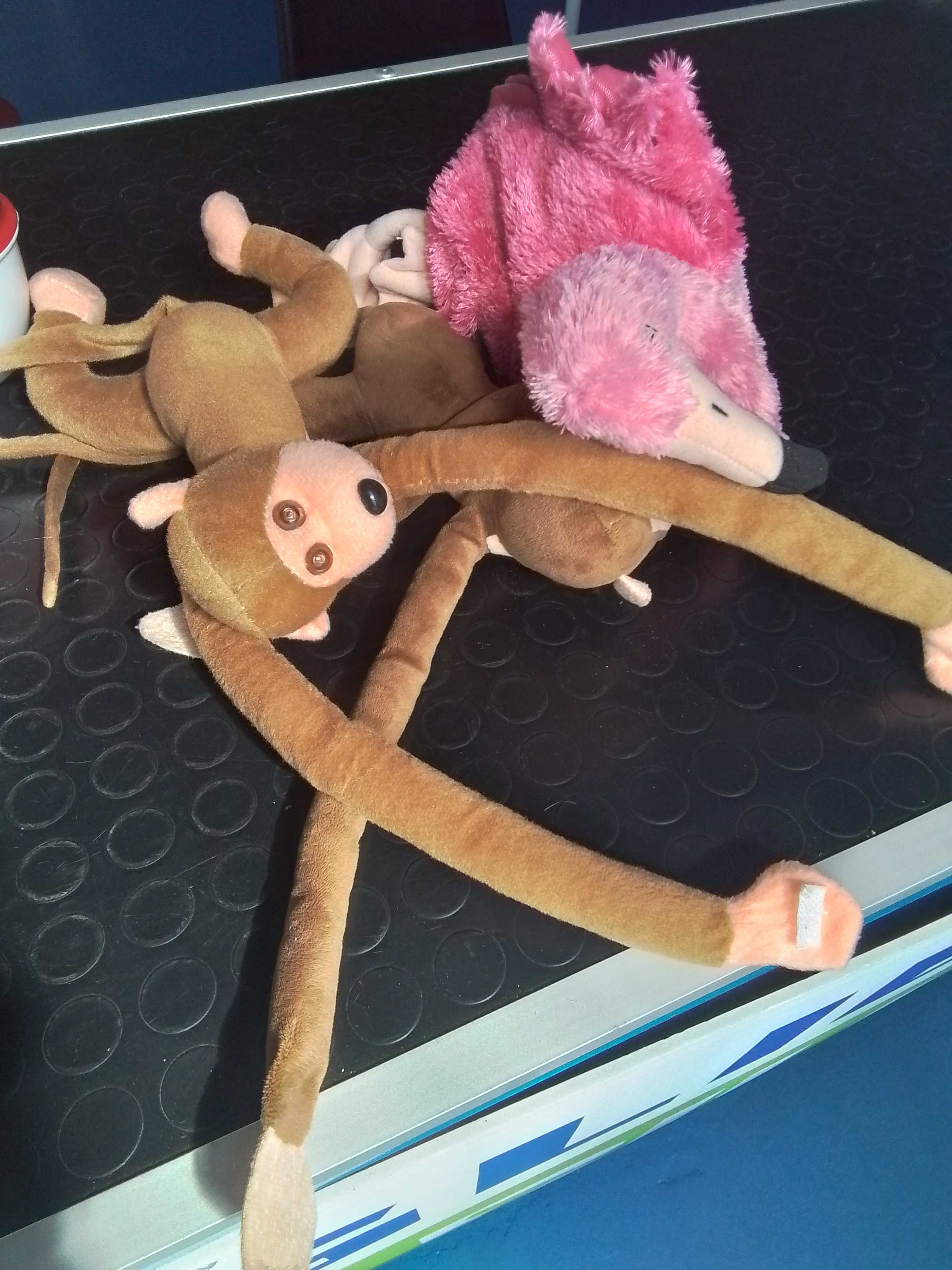 peluche 