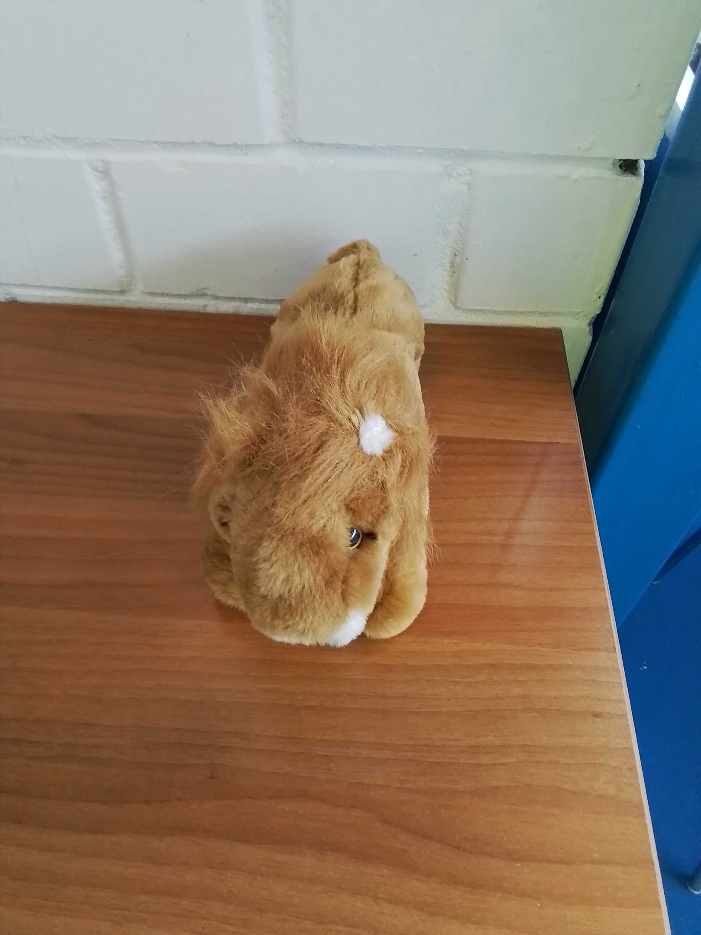 pupazzo leone