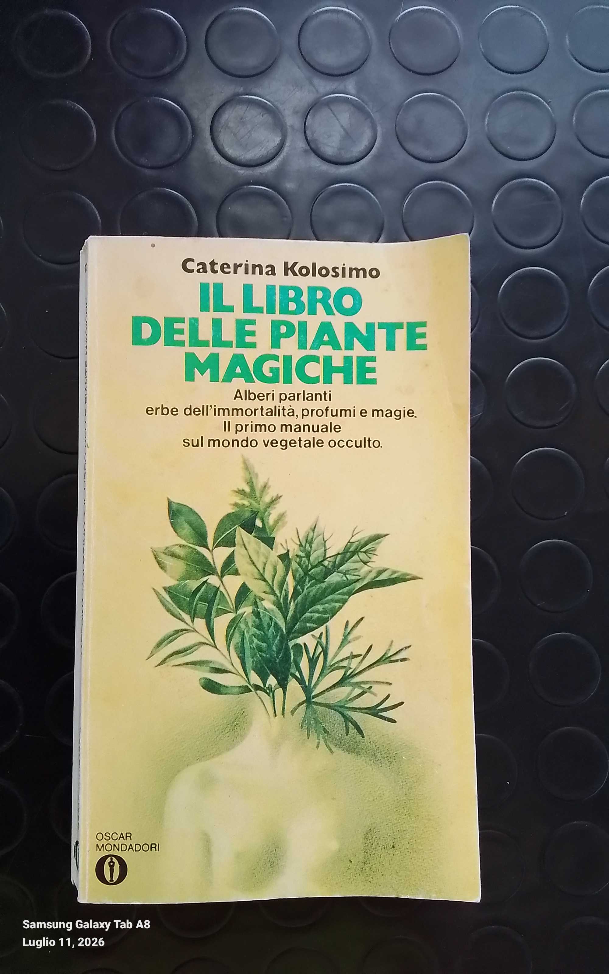 libro